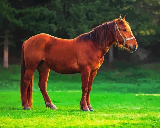 Cute Brown Mare Horse Diamond Painting