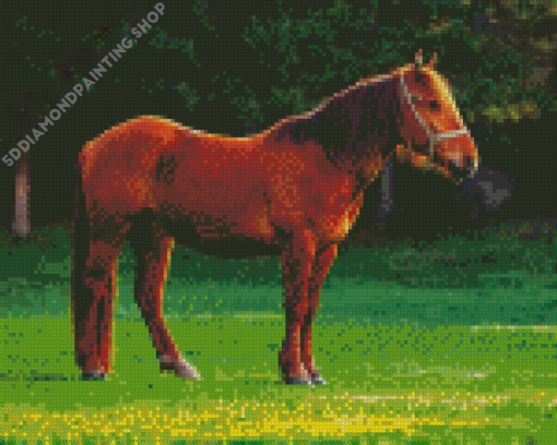 Cute Brown Mare Horse Diamond Painting