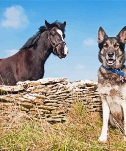 Cute Dog And Horse Diamond Painting