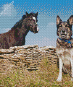 Cute Dog And Horse Diamond Painting