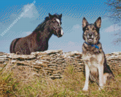 Cute Dog And Horse Diamond Painting