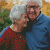 Cute Old Man And Woman Diamond Painting