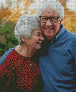 Cute Old Man And Woman Diamond Painting