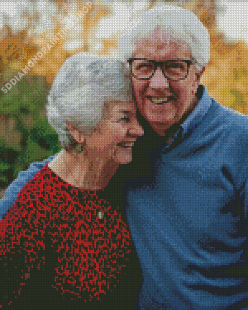 Cute Old Man And Woman Diamond Painting