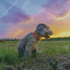 Cute Bedlington Terrier Diamond Painting