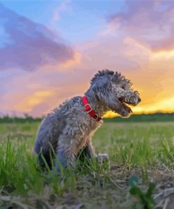 Cute Bedlington Terrier Diamond Painting