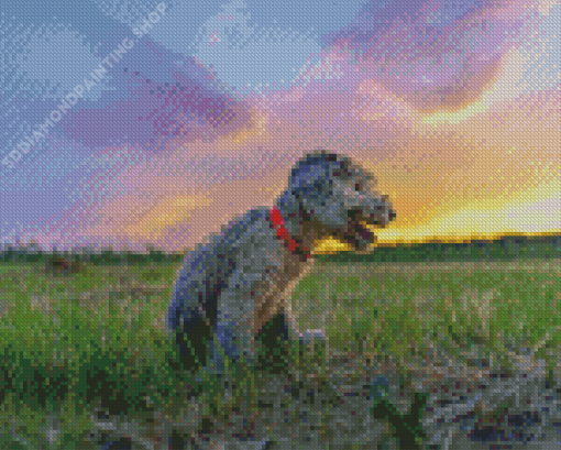 Cute Bedlington Terrier Diamond Painting