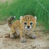 Cute Little Cheetah Baby Diamond Paintings