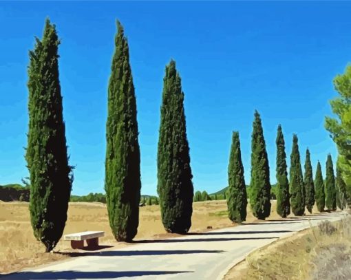 Cypress Trees Plants Diamond Painting