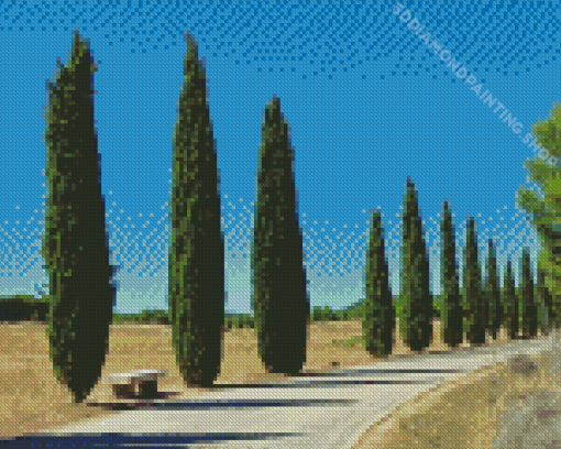 Cypress Trees Plants Diamond Painting