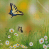 Daisy Flowers With Butterflies Diamond Paintings