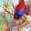 Eclectus Parrot Bird On Branch Diamond Painting