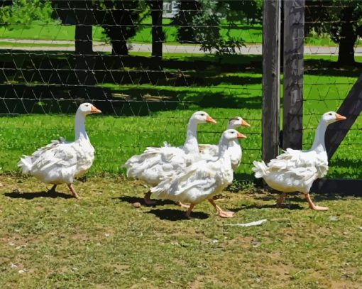 Five Geese In The Garden Diamond Painting