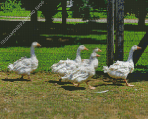 Five Geese In The Garden Diamond Painting