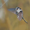 Flying Long Tailed Tit Diamond Paintings