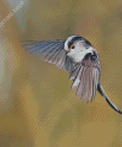 Flying Long Tailed Tit Diamond Paintings