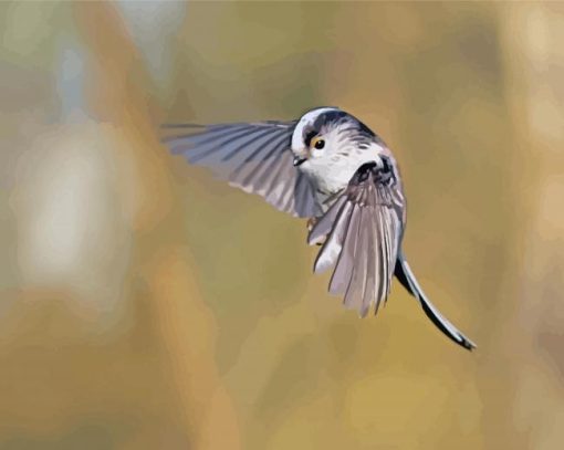 Flying Long Tailed Tit Diamond Paintings