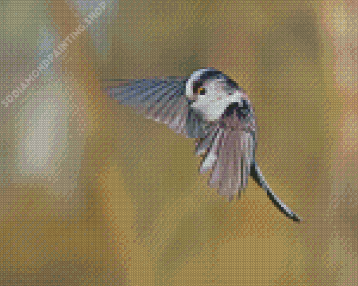 Flying Long Tailed Tit Diamond Paintings