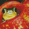 Frog In Pitcher Plant Diamond Painting