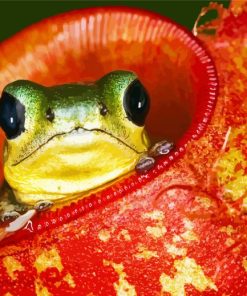 Frog In Pitcher Plant Diamond Painting