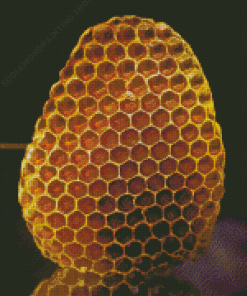 Gold Hive Art Diamond Painting