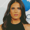 Gorgeous Karla Souza Diamond Painting