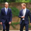 Handsome Prince William And Harry Diamond Paintings