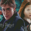 Harry Potter And Ginny Weasley Diamond Painting