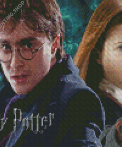 Harry Potter And Ginny Weasley Diamond Painting