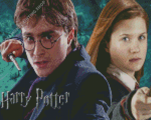 Harry Potter And Ginny Weasley Diamond Painting