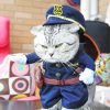 Mad Cute Cat In Police Clothing Diamond Paintings