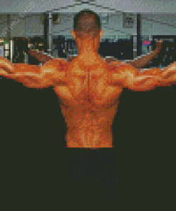 Man Back Muscles Diamond Paintings