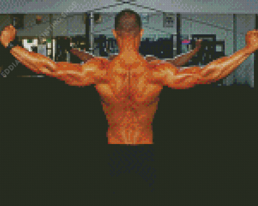 Man Back Muscles Diamond Paintings