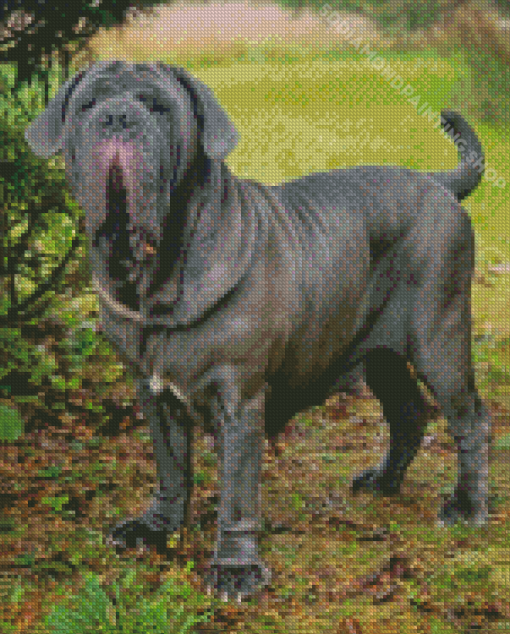 Neapolitan Mastiff Pet Diamond Paintings