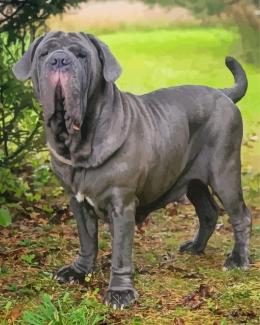 Neapolitan Mastiff Pet Diamond Paintings