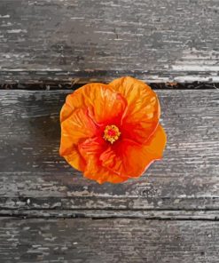 Orange Hibiscus Flower Diamond Paintings