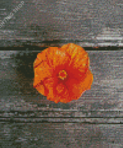 Orange Hibiscus Flower Diamond Paintings