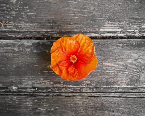 Orange Hibiscus Flower Diamond Paintings