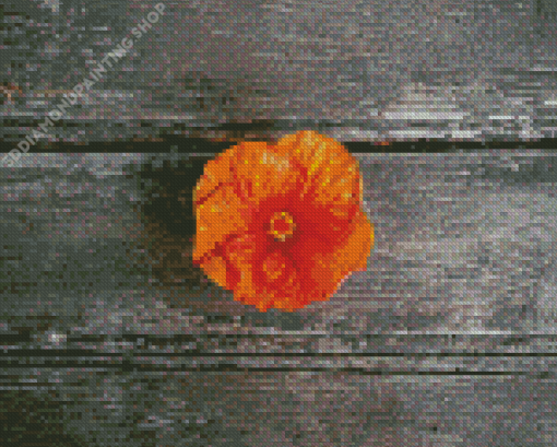 Orange Hibiscus Flower Diamond Paintings