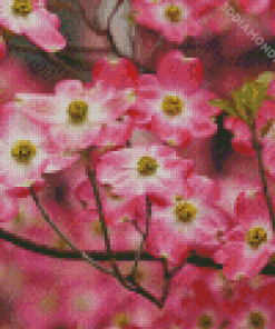 Pink Dogwoods Flowers Diamond Paintings