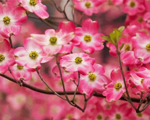 Pink Dogwoods Flowers Diamond Paintings