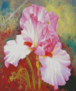 Pink Iris Flower Diamond Paintings