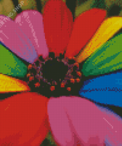 Rainbow Colorful Daisy Diamond Paintings