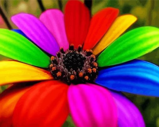 Rainbow Colorful Daisy Diamond Paintings