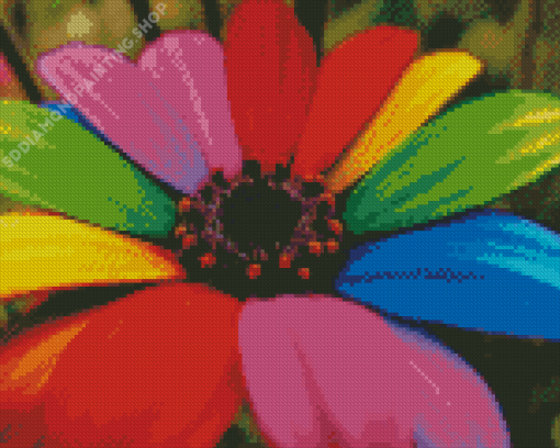 Rainbow Colorful Daisy Diamond Paintings