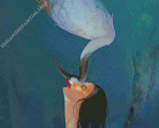 Red Crowned Crane And Woman Diamond Painting