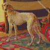 Saluki Dog In Desert Diamond Paintings