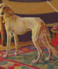 Saluki Dog In Desert Diamond Paintings