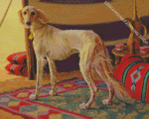 Saluki Dog In Desert Diamond Paintings