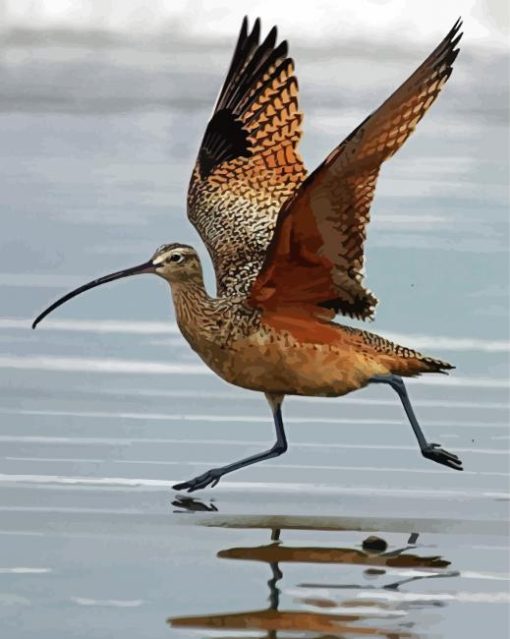 Strand Billed Bird Diamond Paintings